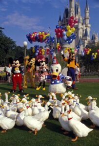 Donald Duck’s 50th Birthday Online En Netflix