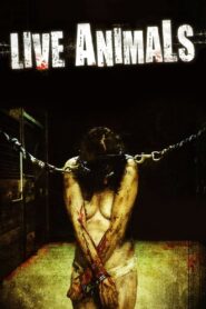 Live Animals Online En Netflix