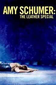 Amy Schumer: The Leather Special Online En Netflix