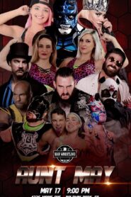 Bar Wrestling 12: Aunt May Online En Netflix