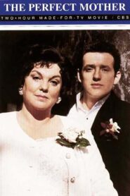 The Perfect Mother Online En Netflix