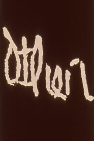 Other Online En Netflix