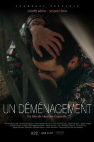 Un déménagement Online En Netflix