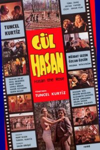 Gül Hasan Online En Netflix