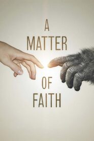 A Matter of Faith Online En Netflix