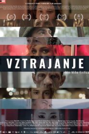 Vztrajanje Online En Netflix