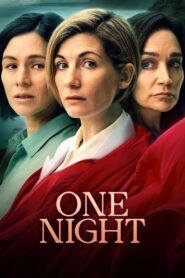 One Night 2023 En Netflix