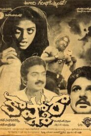 కాష్మోరా Online En Netflix