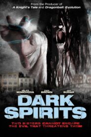 Dark Spirits Online En Netflix