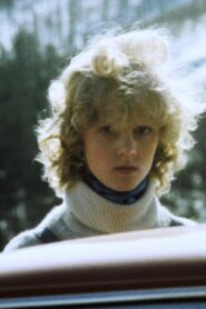 Незнакомка Online En Netflix