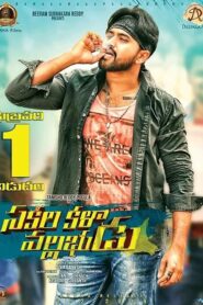 Sakala Kala Vallabhudu Online En Netflix