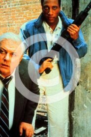 Case Closed Online En Netflix