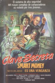 Smart Money Online En Netflix