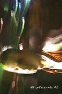 Will You Dance With Me? Online En Netflix