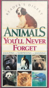 Animals You’ll Never Forget Online En Netflix
