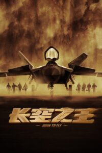 长空之王 Online En Netflix