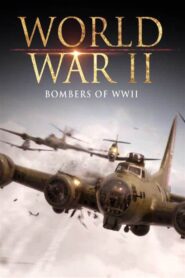 World War II: Bombers of WWII Online En Netflix