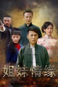 姐妹情缘 2012 En Netflix