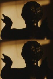 The Suppliant Online En Netflix