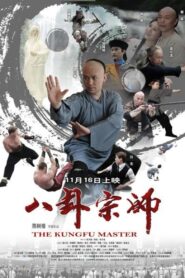 八卦宗师 Online En Netflix