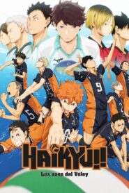 Haikyu!! 2014 En Netflix