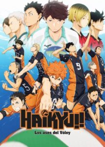 Haikyu!! 2014 En Netflix