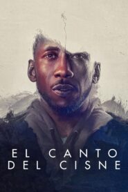 El canto del cisne Online En Netflix