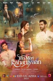 Teri Meri Kahaniyaan Online En Netflix