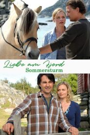 Liebe am Fjord – Sommersturm Online En Netflix