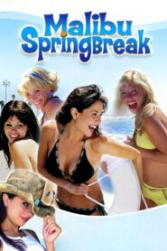Malibu Spring Break Online En Netflix