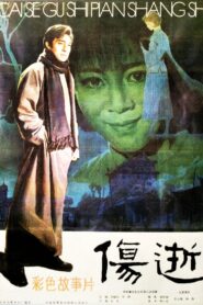 伤逝 Online En Netflix