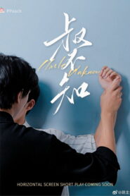 叔不知 2024 En Netflix