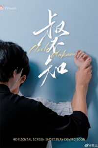 叔不知 2024 En Netflix