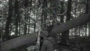 The Red Green Show: 8×13 {year} Online En Netflix