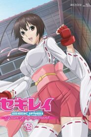 セキレイ~Pure Engagement~第零羽 Online En Netflix