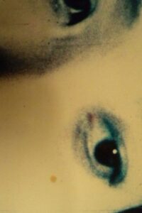 ほたる Online En Netflix