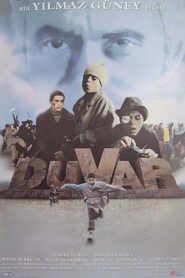 Duvar Online En Netflix