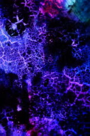 Elementary Phrases Online En Netflix