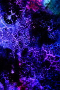 Elementary Phrases Online En Netflix