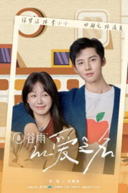 以爱之名 2025 En Netflix