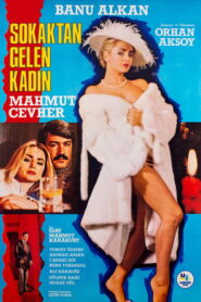 Sokaktan Gelen Kadın Online En Netflix