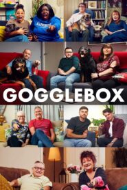 Gogglebox 2013 En Netflix