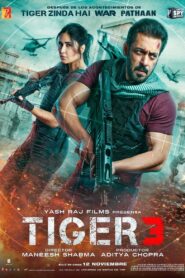 Tiger 3 Online En Netflix