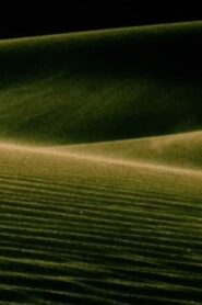 Alaya Online En Netflix