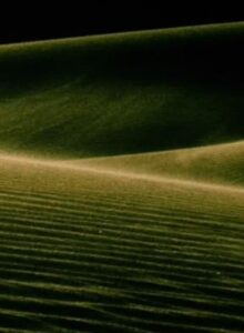 Alaya Online En Netflix