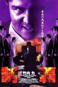 制覇 Online En Netflix