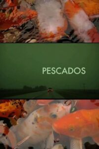 Pescados Online En Netflix