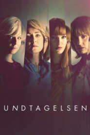 Undtagelsen Online En Netflix