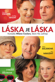 Láska je láska Online En Netflix