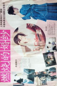 燃烧的婚纱 Online En Netflix